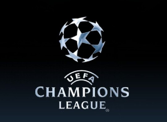 職業生涯注 職業生涯注